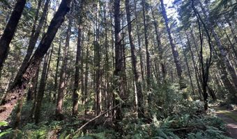 Laurel Rd unit 2000 2000, Bandon, OR 97411