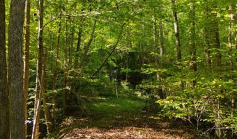 501 Caldwell Rd, Blacksburg, SC 29702