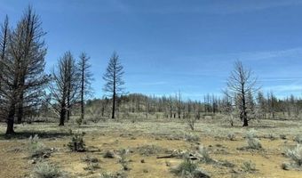 31763 Godowa Springs Rd, Beatty, OR 97621