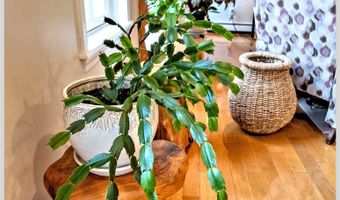 172 Merrill Rd, Campton, NH 03223