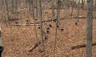 27 Mile Rd, Albion, MI 49224