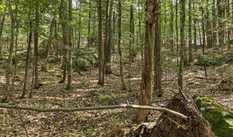 Lot 36 Mauhaut Shores Road, Alton, NH 03810