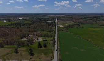 80 X Henry St, Alger, MI 48610