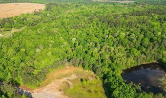 22 62 Acres Hwy 84, Amity, AR 71921