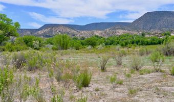 Lots 1 & 2 off of CR-162, Abiquiu, NM 87510