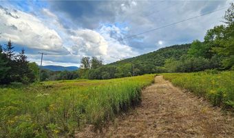 Shaver Hollow, Andes, NY 13731