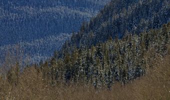 640 S Hayden Rd, Aspen, CO 81611