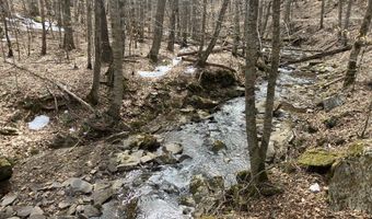 0 TBD Elleber Sods Rd, Bartow, WV 24920