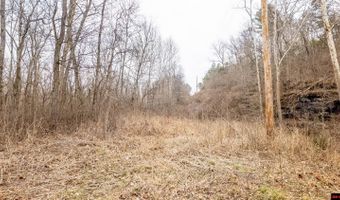 CR 19-A, Alton, MO 65606