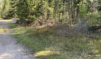 Lots 35 & 36 Dolly Vardon, Bayview, ID 83803