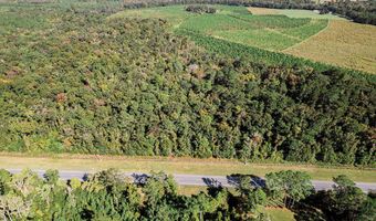 TBD State Rd 121, Alachua, FL 32615