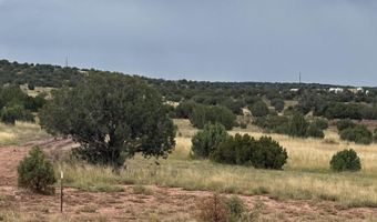 N8485, Concho, AZ 85924