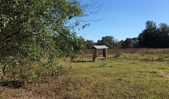 7237 NE 33rd Ct, Anthony, FL 32617