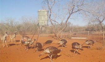 CR 145 & CR 173, Alice, TX 78332