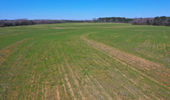 0 Tervin Mill Rd, Andalusia, AL 36421