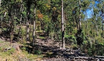 0 Mount Horeb Rd, Amherst, VA 24521