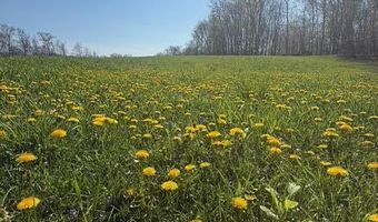 27 Mile Rd, Albion, MI 49224