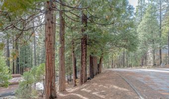 1002 Manuel Rd, Arnold, CA 95223