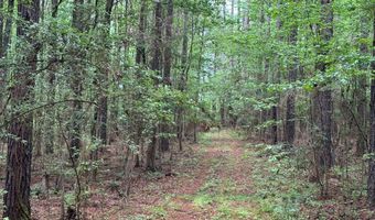 2780 Jackson Liberty Rd, Bogue Chitto, MS 39629