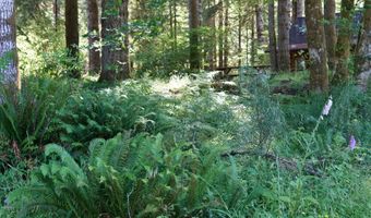 9965 BEACH Dr, Birkenfeld, OR 97016