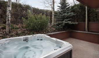 704 E Hyman Ave, Aspen, CO 81611