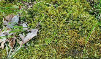 4775 S 50th Rd, Aldrich, MO 65601