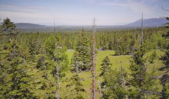 Nhn Black Wolf Trail, Bigfork, MT 59911
