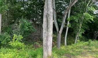 56 Bowling Ln, Alvaton, KY 42122