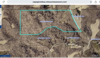 0 County Road 261, Advance, MO 63730