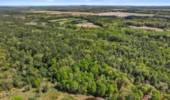 Chicago Avenue lot 2, Arkdale, WI 54613