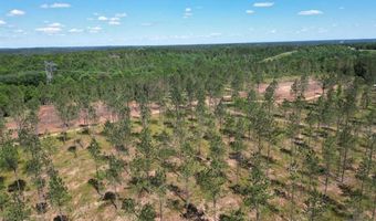 4 AL SR 223, Banks, AL 36005