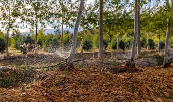 9001 2100 Rd, Austin, CO 81410