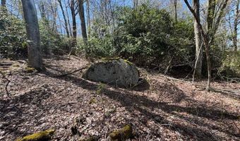 62 Acres Buckeye Ridge Rd, Beech Mountain, NC 28604