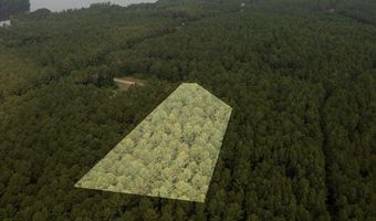 Lot 113 Dock Side Lane, Lincolnton, GA 30817