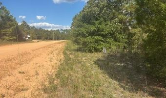 Nezperce Drive, Alford, FL 32420