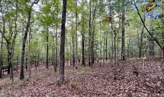 122 Whitehead Rd, Abbeville, AL 36310