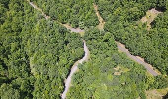 Beaver Dam Road lot 99, Banner Elk, NC 28604