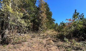 1011 Granny Hollar Rd, Atkins, AR 72823
