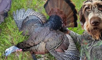 Reeves Road, Ashland, MS 38603