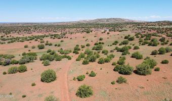19 N8483, Concho, AZ 85924