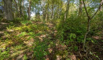 3348 3360 COVE Rd, Accident, MD 21520