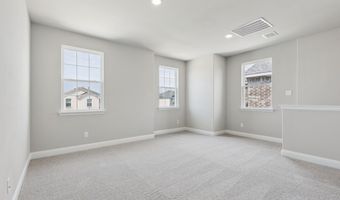 1009 Santa Lucia Dr, Anna, TX 75409