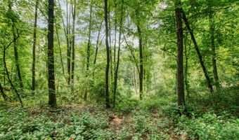2895 Terra Nova Dr SE, Ada, MI 49301