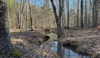 MOUNTAIN CUT RD lot D, Appomattox, VA 24522