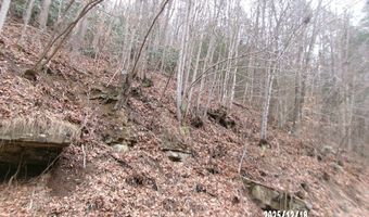 3675 Anawalt Ridge Rd, Anawalt, WV 24808