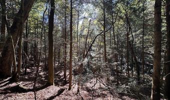 18 6 Acres Cave Branch Rd, Allardt, TN 38504