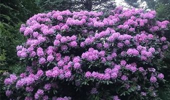 274 Highland Cir, Banner Elk, NC 28604