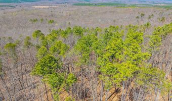Larkin Mountain, Amherst, VA 24521