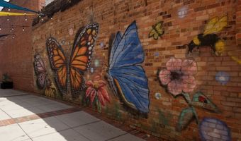 21 D Regent St, Camden, SC 29020