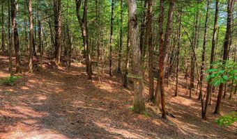 54 E Ridge Rd, Allardt, TN 38504